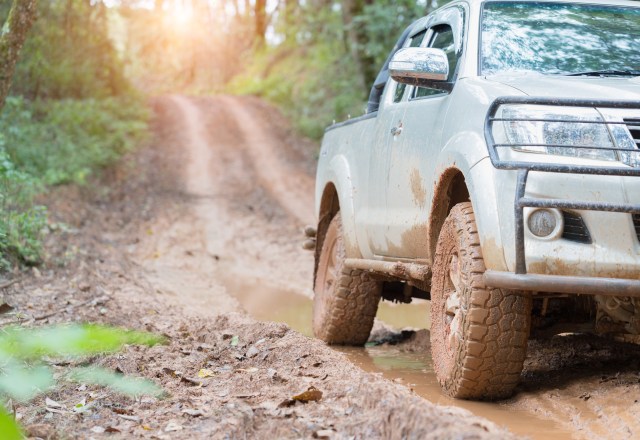Top 5 Factors to Consider When Choosing Between an SUV and a Truck